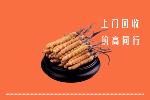 高价求购：元氏县回收散虫草