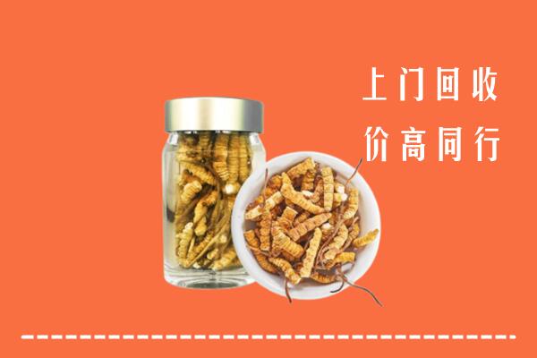 元氏县回收冬虫夏草